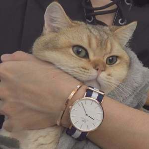 取精护士帮我爽了一夜
